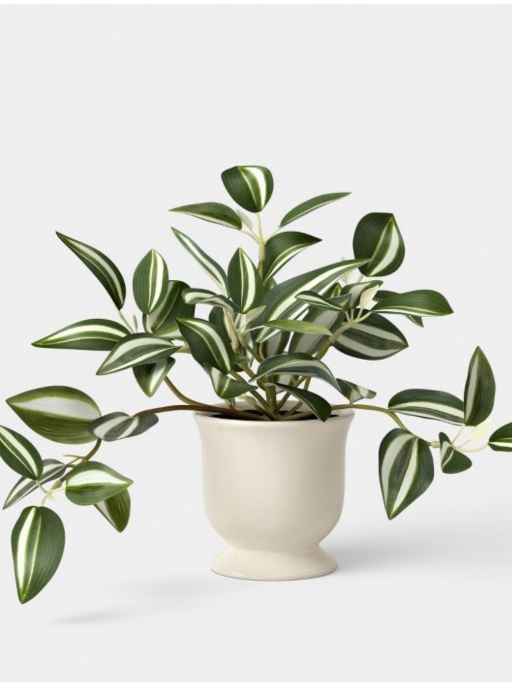 8.25" Trailing Variegated Plant in Trophy Vase - Room Essentials™